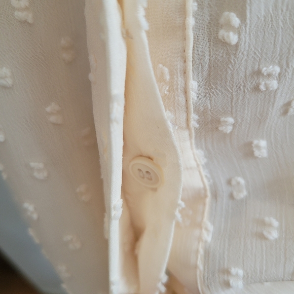 Zara Swiss Dot Button Down Blouse • Cream • Size Small - Picture 3 of 7